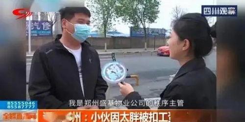 河南观察爆料最新消息 第1张 河南观察爆料最新消息 第1张